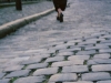 Sur les pav&eacute;s du temps marche la diva