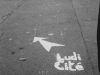 Ludicite